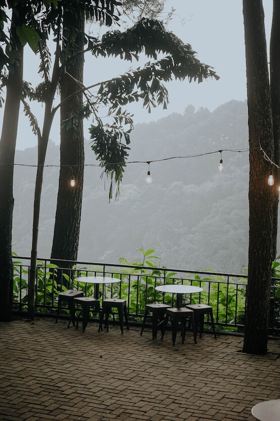 Kopi Daong Ruang Langit
