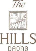 The Hills by Daong